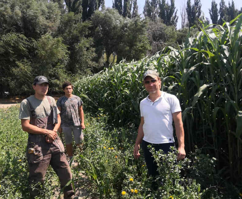 Сотрудничество ЕЦПБ МГУ и Киргизского НАУ